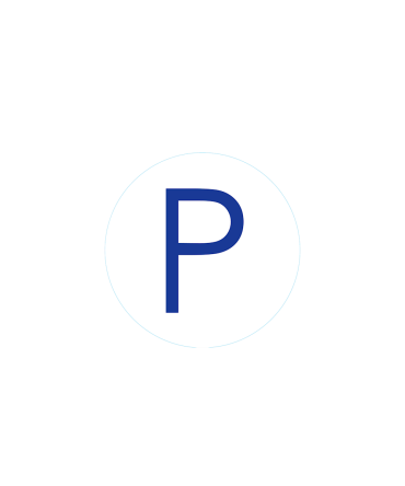 Bogg Bit - Initial P