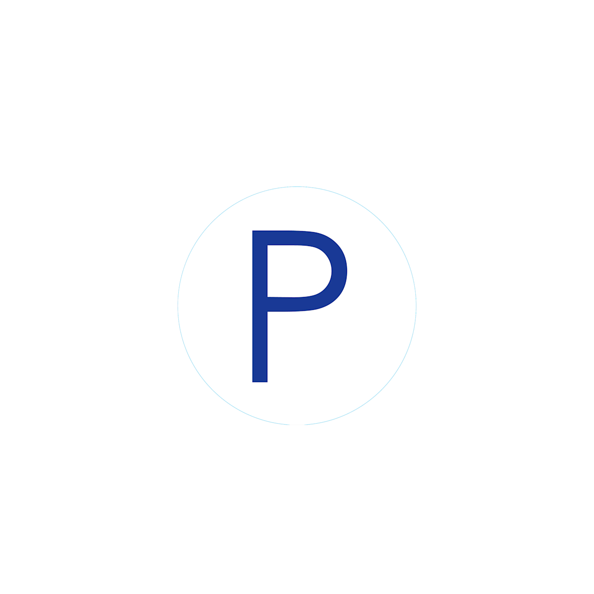 Bogg Bit - Initial P