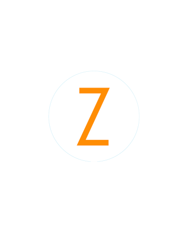 Bogg Bit - Initial Z