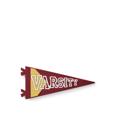 Bogg Bit - Varsity Flag